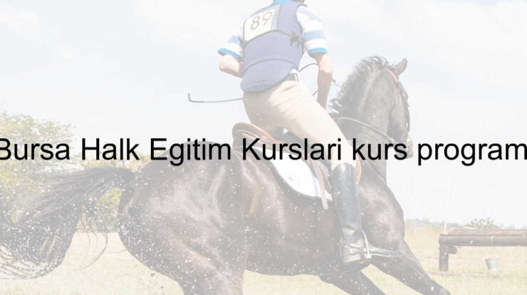 Bursa Halk Eğitim Kursları kurs programı