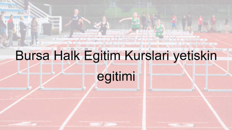 Bursa Halk Eğitim Kursları yetişkin eğitimi