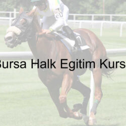 Bursa Halk Eğitim Kursu