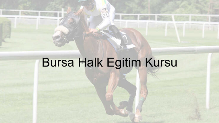 Bursa Halk Eğitim Kursu