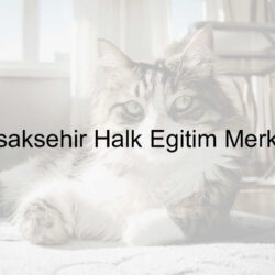 başakşehir halk egitim merkezi