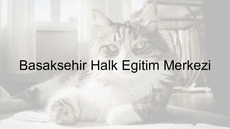 başakşehir halk egitim merkezi